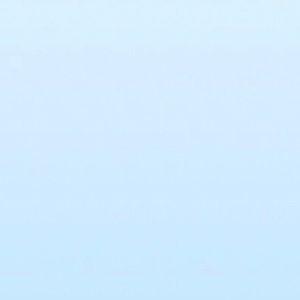 Meet your Posher, Charlotte